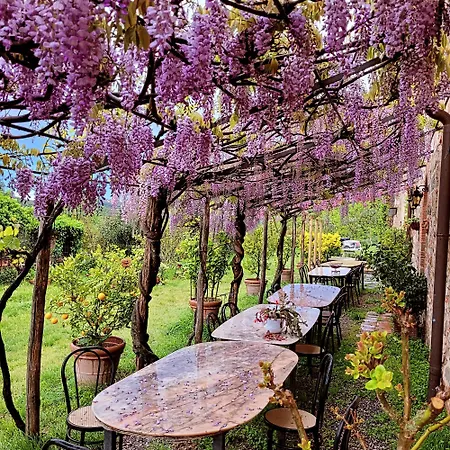 Agroturismo I Pitti *