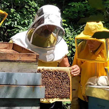 I Pitti Agroturismo