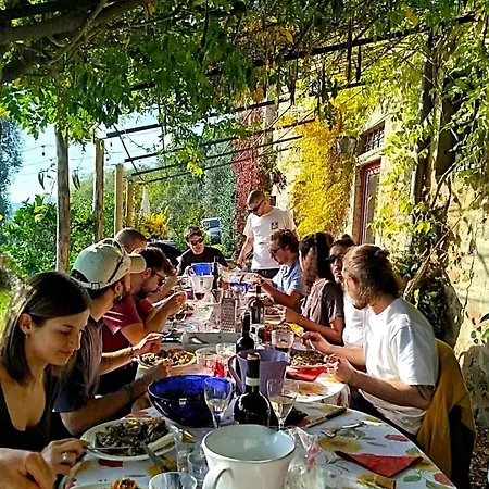 I Pitti Serravalle Pistoiese