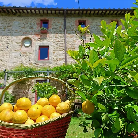 I Pitti * Serravalle Pistoiese